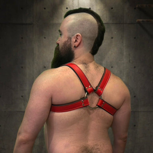 Bold Bulldog Harness